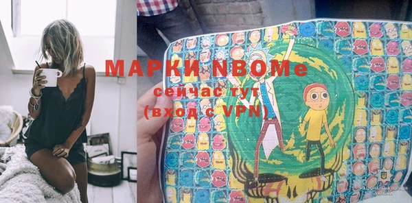 крисы Козельск
