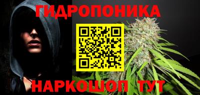ПСИЛОЦИБИНОВЫЕ ГРИБЫ Бердск