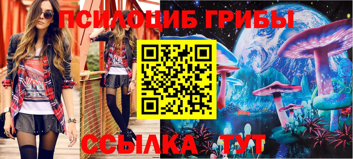 Псилоцибиновые грибы прущие грибы Заречный