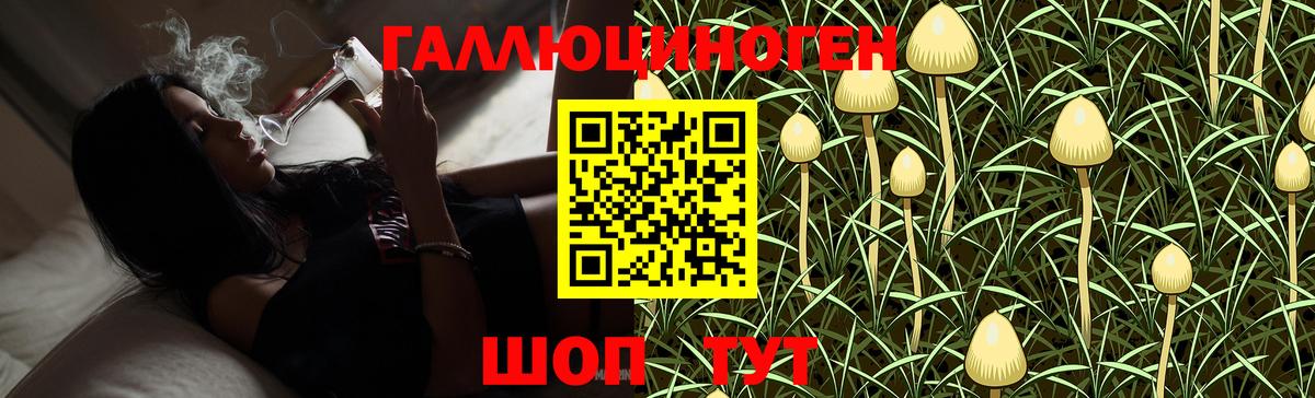 Псилоцибиновые грибы GOLDEN TEACHER  Вход с VPN  Галлюциногенные грибы Magic Shrooms  Заречный 